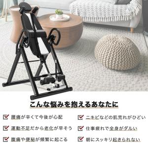 【三年保証】HZDMJ 逆 ぶら下がり 健康 ...の詳細画像2