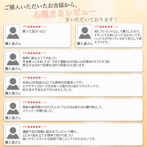 ステッパー ハンドル付き ダイエット 静音 ツ...の詳細画像2