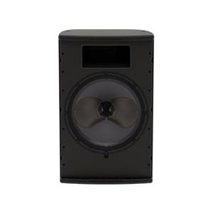 Martin Audio CDD5 スピーカー ペア マーチンオーディオ CDD5 マーチンオーディオ MARTIN AUDIO CDDシリーズ 超小型同軸