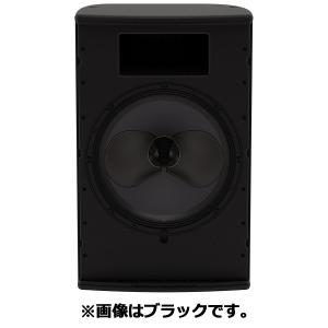 Panasonic（パナソニック） (送料無料) WS-LA100 Panasonic RAMSA