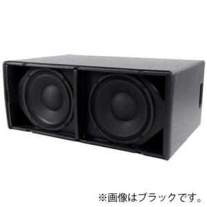 A55 マーチンオーディオ MARTIN AUDIO ADORNシリーズ 2WAYスピーカー