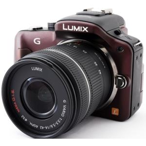 Panasonic LUMIX G DC-GF10W ミラーレスカメラ　オレンジ Panasonic LUMIX G DC-GF10W ミラーレスカメラ オレンジ Amazon