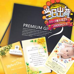 カタログギフト 内祝い 結婚 出産 お返し 入学 のし 父の日 引っ越し お祝い 誕生日プレゼント プレミアムギフトカタログ 2800円コース シトロン