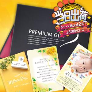 カタログギフト 内祝い 結婚 出産 お返し 入学 のし 父の日 引っ越し お祝い 誕生日プレゼント プレミアムギフトカタログ 3800円コース フレーズ