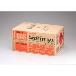 【公式】Iwatani イワタニ 岩谷 カセッ...の詳細画像1