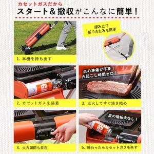 廃盤【公式】Iwatani イワタニ 岩谷 バ...の詳細画像1