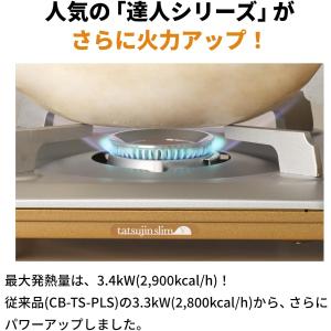 【公式】Iwatani イワタニ 岩谷 カセッ...の詳細画像3