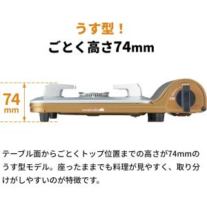 【公式】Iwatani イワタニ 岩谷 カセッ...の詳細画像4