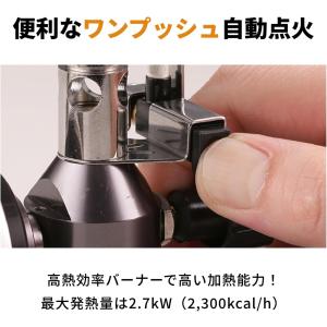 【公式】Iwatani イワタニ 岩谷 カセッ...の詳細画像5