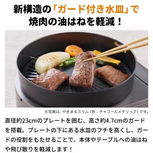 【公式】Iwatani イワタニ 岩谷 カセッ...の詳細画像2