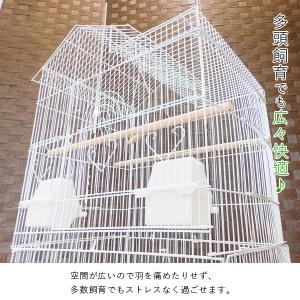 鳥かご 鳥 ケージ 鳥籠 とりかご おしゃれ ...の詳細画像3