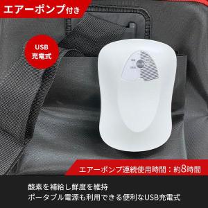 バッカン 酸素ポンプ付き 40cm 23L エ...の詳細画像2