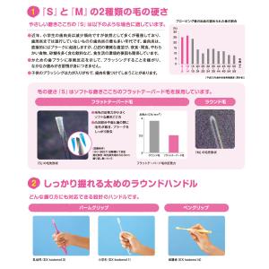 歯ブラシ LION ライオン EX kodom...の詳細画像2