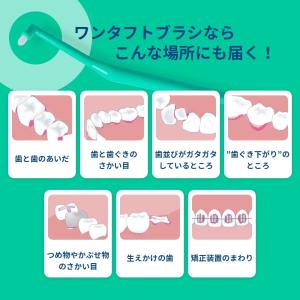 ワンタフトブラシ OralCare オーラルケ...の詳細画像3