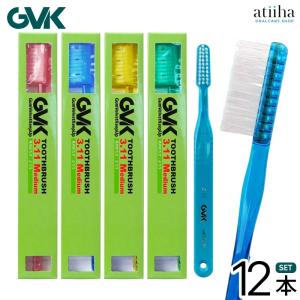 歯ブラシ G.V.K GVK Fit 3.07 ロングネック&ロングハンドル 12本