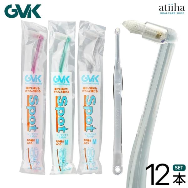 歯ブラシ G.V.K GVK Spot スポット キャップ付き 12本 メール便送料無料