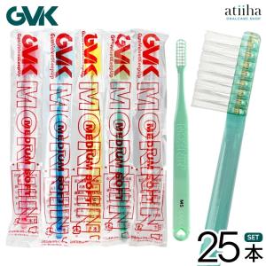 12/11限定！5%OFFクーポン！ 歯ブラシ PHB歯ブラシ アダルト パステル