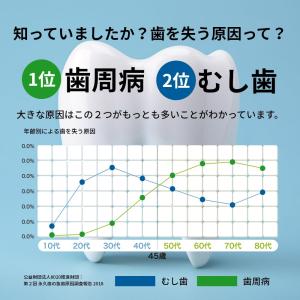 歯ブラシ ジーシー GC ルシェロ ピセラ P...の詳細画像2