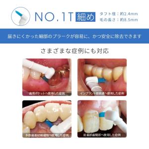 替ブラシ CG ルシェロ ペリオブラシ 替ブラ...の詳細画像2