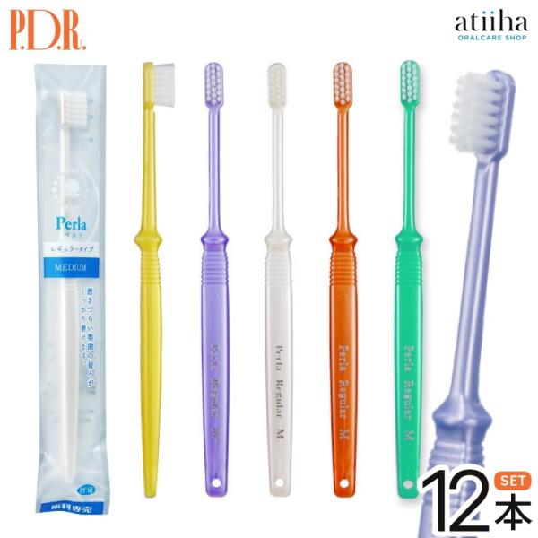 歯ブラシ PDR Perla ペルラ レギュラータイプ 12本 メール便送料無料