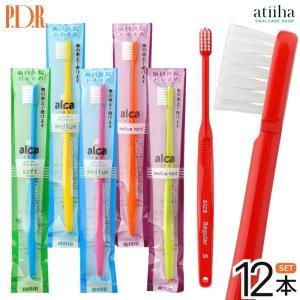 イワタリョウ 折りたたみ式歯ブラシ ミニモ 1-17018-18（グリーン