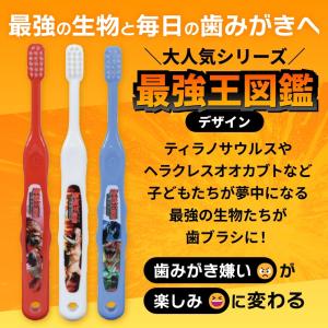 歯ブラシ Ci こども用 キッズ 502 50...の詳細画像1