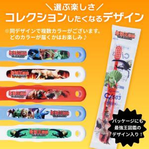 歯ブラシ Ci こども用 キッズ 502 50...の詳細画像2