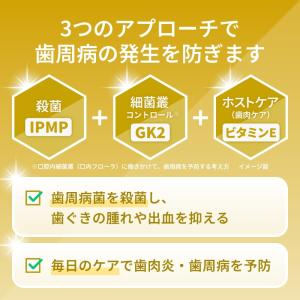 歯磨き粉 歯みがき粉 LION ライオン 14...の詳細画像5