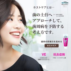 歯みがき粉 LION ライオン Systema...の詳細画像5