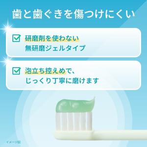 歯磨き粉 歯みがき粉 LION ライオン 14...の詳細画像4