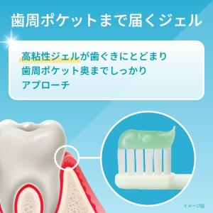 歯磨き粉 歯みがき粉 LION ライオン 14...の詳細画像5
