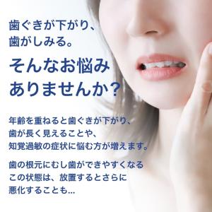 歯磨き粉 LION ライオン ジェルタイプ 1...の詳細画像2