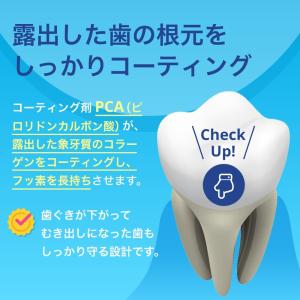 歯磨き粉 LION ライオン ジェルタイプ 1...の詳細画像5