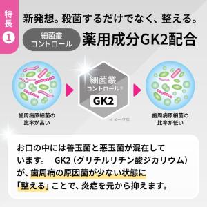 歯みがき粉 歯磨き粉 LION ライオン Sy...の詳細画像4