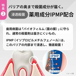歯みがき粉 歯磨き粉 LION ライオン Sy...の詳細画像5