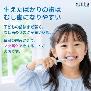 歯磨き粉 LION ライオン フッ素高滞留 9...の詳細画像2