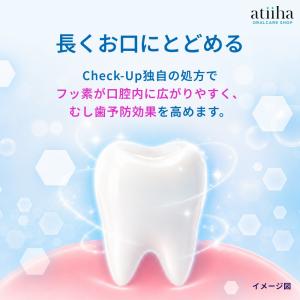 歯磨き粉 LION ライオン フッ素高滞留 9...の詳細画像4