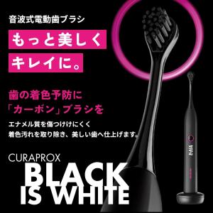 今なら専用粉はみがき1個付き 音波電動歯ブラシ...の詳細画像1