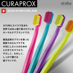今なら専用粉はみがき1個付き 音波電動歯ブラシ...の詳細画像3