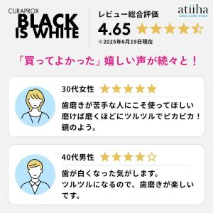 今なら専用粉はみがき1個付き 音波電動歯ブラシ...の詳細画像4