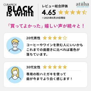 今なら専用粉はみがき1個付き 音波電動歯ブラシ...の詳細画像5