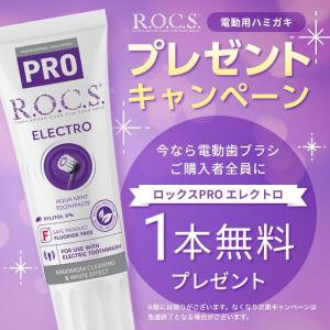 電動ブラシ 今だけ電動用歯磨き粉プレゼント 歯...の詳細画像1