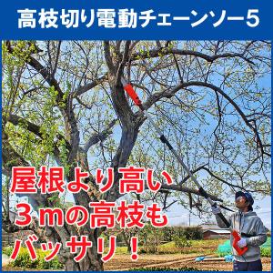 ヤードフォース 高枝切り電動チェーンソー5 M...の詳細画像1