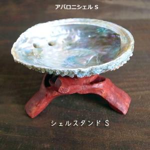 アバロニシェル＆シェルスタンド スモールサイズセット