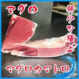 極上絶品 デカ カマトロ刺身 天然 本マグロ カマ　1個 約1〜２kg前後 稀少