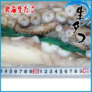 4-5人前　生タコ 北海生たこ 刺身用 約1kg タコ たこ 蛸 鮹