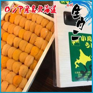 お歳暮) 【大好評】生ウニ 小川のうに 約220~250g(一粒 約4cm-5cm) ロシア産＆北海道産　期間特売