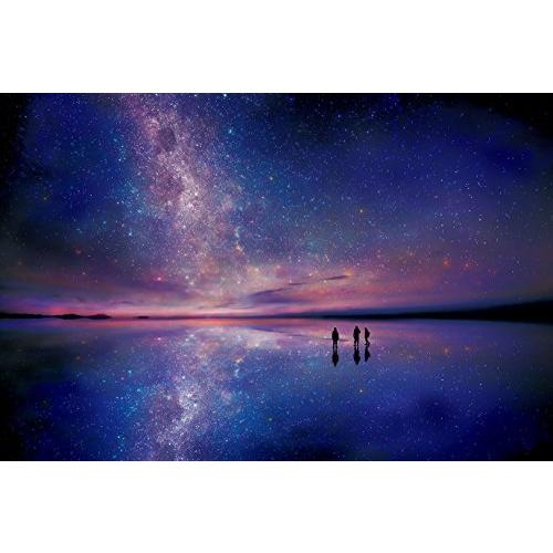 1000ピース ジグソーパズル 星空のウユニ―ボリビア 【光るパズル】(50x75cm)