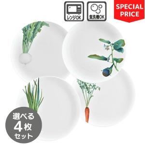 ノリタケ N4 シリーズ 25cmディーププレート 5515t_1628 : せともの屋