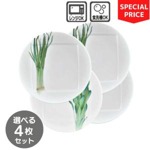 ノリタケ 2026年 福袋【先行販売】京香旬彩12点セット : テーブル